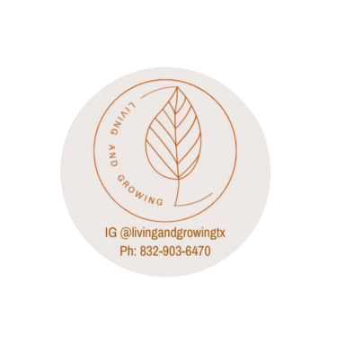Logo featuring a leaf and the text "Get Plants Growing" with Instagram and contact details.